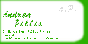 andrea pillis business card
